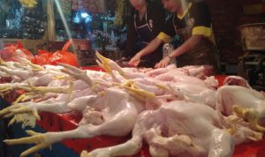 Di Cianjur, Harga Ayam Sudah 40 Ribu