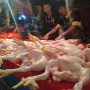 Di Cianjur, Harga Ayam Sudah 40 Ribu