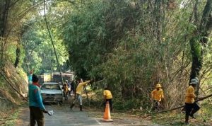Pohon Tumbang Tutup Jalan Menuju Cisel