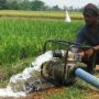 Dinas Pertanian Gelontorkan 525 Unit Pompa ke Petani