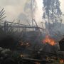 Green House Jamur Ludes Terbakar