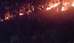 30 Hektar Lahan Terbakar