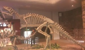 Bekas Jejak Kaki Dinosaurus Berusia 100 tahun Ditemukan di China