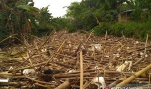 Sungai Cikeas Bekasi Tertutup Ribuan Kubik Sampah Bambu