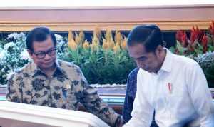 Jokowi Sebut Palapa Ring Infrastruktur Tol Langit