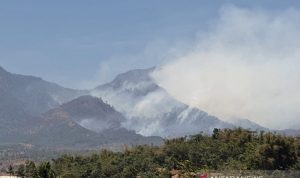 Asap Putih Kebakaran Terlihat di Pegunungan Malabar