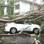 Cianjur Dilanda Hujan Angin, Satu Mobil Ringsek Tertimpa Pohon