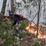 150 Hektar Hutan Taman Nasional Gunung Ciremai Hangus Terbakar