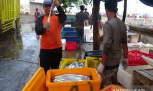 Nelayan Jayanti Cianjur Keluhkan Harga Ikan Merosot Tajam