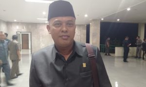 Wakil Ketua Komisi A DPRD Cianjur Dorong Pemekaran Desa, Alasannya?