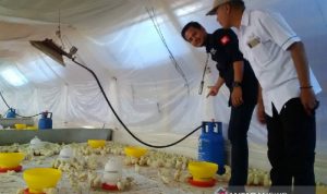 Awasi Gas Subsidi, Pertamina Sidak Peternakan Ayam di Garut