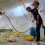 Awasi Gas Subsidi, Pertamina Sidak Peternakan Ayam di Garut