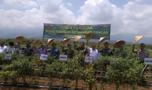 Korem 061/Suryakancana Kembangkan Pertanian Cianjur