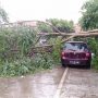 Cianjur Dilanda Hujan Angin, Pohon Tumbang Timpa Mobil