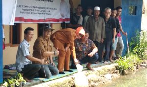 Reses di Cianjur, Endang Bagikan Benih Ikan ke Kelompok Tani