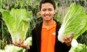 Pemuda Cianjur Raup Miliaran Rupiah Dari Pertanian