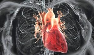 Berpuasa Mampu Menyehatkan Jantung Hingga Menurunkan Berat Badan Secara Alami