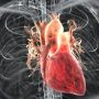 Berpuasa Mampu Menyehatkan Jantung Hingga Menurunkan Berat Badan Secara Alami