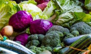 Harga Jual Rendah, Petani di Cianjur Enggan Panen Tanaman Sayurannya