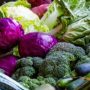 Harga Jual Rendah, Petani di Cianjur Enggan Panen Tanaman Sayurannya