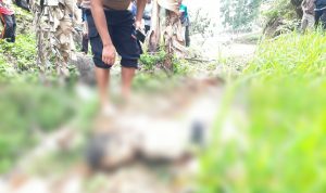 Petani di Kadupandak Cianjur Tewas Mengenaskan di Pematang Sawah, Ini Hasil Penyelidikan Polisi