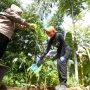 Jaga dan Rawat Bumi, Atalia Tanam Pohon di Ciburial Kabupaten Bandung