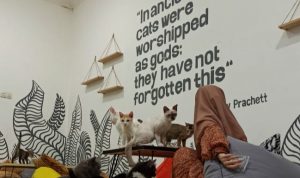 Pertama di Cianjur, Catopia Cat Cafe dan Petshop