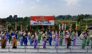 Ketum Dharma Pertiwi Panen Perdana Ketahanan Pangan TNI di Pacet Cianjur