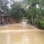 Banjir Masih Merendam Sejumlah Desa di Agrabinta Cianjur, Puluhan KK Dievakuasi