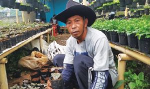 Pedagang Bunga Hias Cianjur Tetap Bertahan Saat Pandemi Covid-19