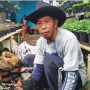 Pedagang Bunga Hias Cianjur Tetap Bertahan Saat Pandemi Covid-19
