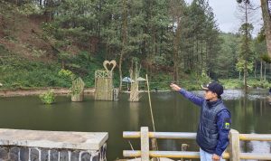 Bakal Jadi Wisata Edukasi, Ini Danau Dengan Pemandangan Hutan Pinus Di Pasawahan Takokak Cianjur
