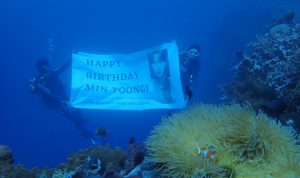 ARMY Lakukan Konservasi Laut Indonesia untuk Ulangtahun Suga BTS