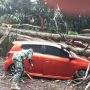 Sebuah Mobil Ringsek Tertimpa Pohon Tumbang di Ciloto Cianjur