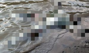 Sesosok Mayat Ditemukan di Sungai Cibuni Agrabinta Cianjur, Identitasnya Belum Diketahui