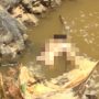 Tim SAR Temukan Jasad Warga yang Tenggelam di Sungai Cibuni Cianjur