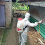 Pasca Tanggap Darurat, PMI Cianjur Kembali Semprot Disinfektan di Lokasi Bencana Longsor Cibokor Cibeber