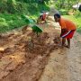 Kesal Tak Kunjung Diperbaiki, Warga Desa Gelaranyar Pagelaran Tanam Pohon Pisang di Jalan