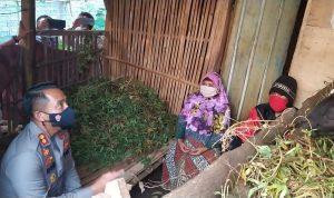 Nenek Kokom Tinggal Satu Atap dengan Kandang Domba, Begini Respon Kapolres Cianjur
