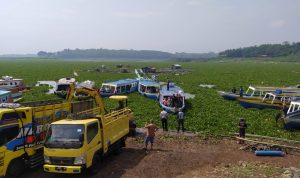 Petugas Gabungan Mulai Bersihkan Ratusan Hektar Hamparan Eceng Gondok di Waduk Cirata Jangari