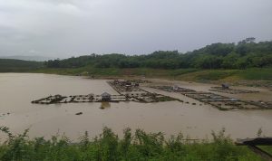 Disapu Banjir dan Angin Kencang, Puluhan Kolam Jaring Apung di Cianjur Rusak