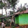 Angin Puting Beliung Terjang Dua Desa di Karangtengah Cianjur, 11 Rumah Rusak