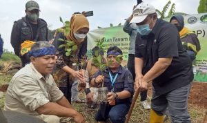 BI Kembangkan Agroforestri Untuk Atasi Lahan Kritis di Jabar