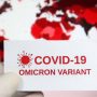 Budi Gunadi Sadikin: Satu Pasien Covid-19 Omicron Ada di Indonesia