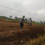 Bibit Sayur dan Pupuk Naik, Petani di Cianjur Minta Pemerintah Cek ke Lapangan