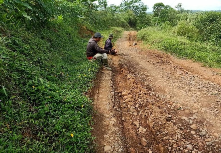 Pemkab Cianjur Alokasikan Rp110 Miliar Perbaikan Jalan Dan Bangun 9