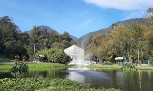 Kebun Raya Cibodas Cianjur Hadirkan Dua Koleksi Produk Botani Baru