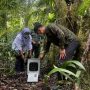TNGGP Lepas Liarkan Kukang Jawa ke Habitat Asalnya di Kawasan Taman Nasional