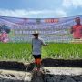 BP Mektan Aplikasikan Mesin Rice Transpalanter, Sukseskan Program IP 400