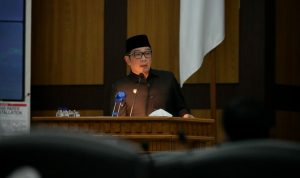 Ridwan Kamil Sebut Jabar Idealnya Miliki 40 Kabupaten dan Kota